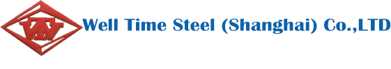 Well Time Steel (Shanghai) Co.,LTD